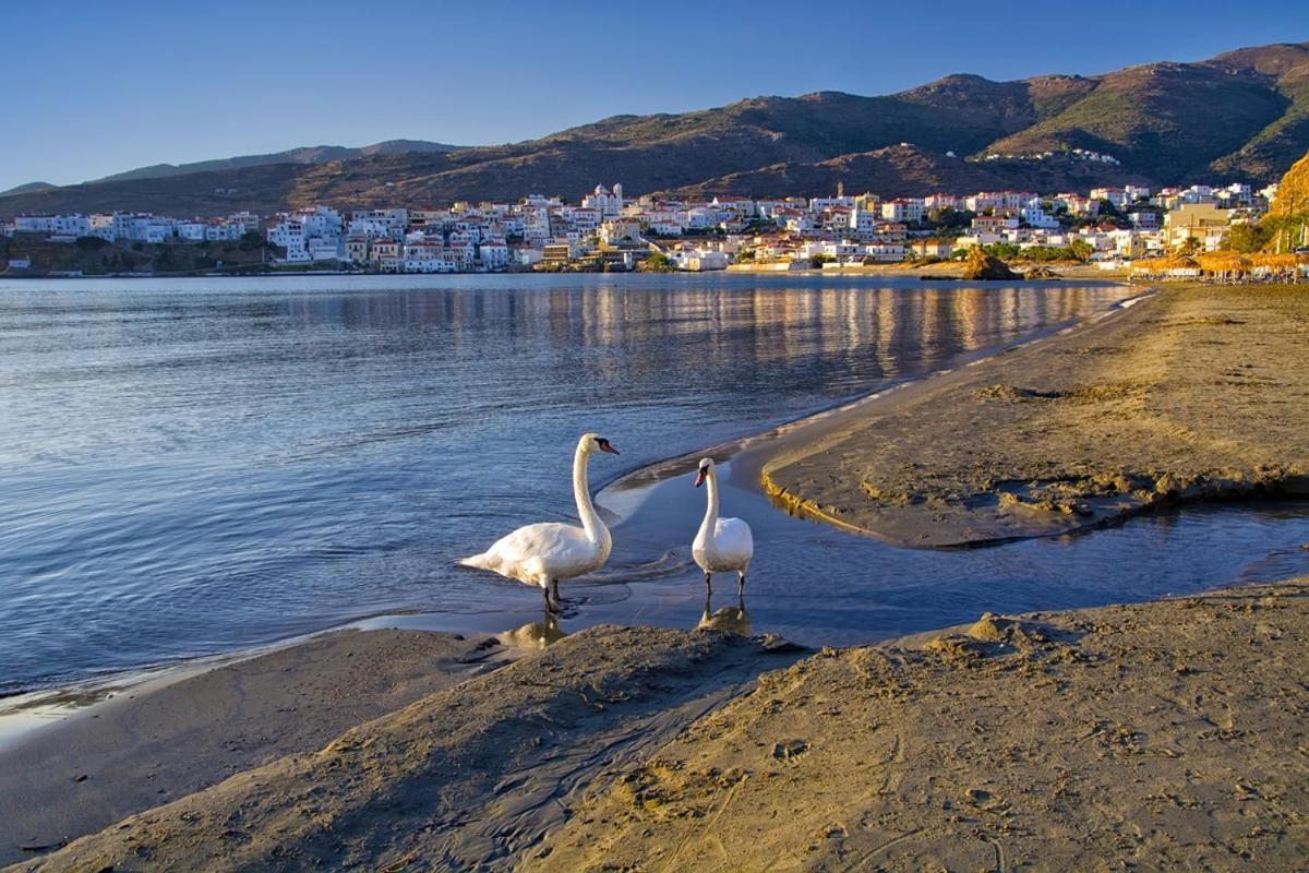 Kontos-Traditional House In Andros Beach Andros Town Exterior foto